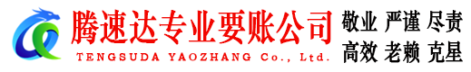 大观清债公司